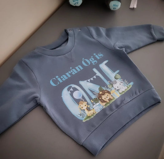 Boys 1st birthday personalised jumper